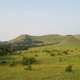 A mosaic of grassland and forest in Gabon.